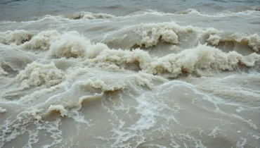 Texas father’s final moments revealed: “He was holding onto his babies when the water…”