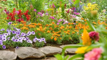 The Genius Perennial That Secretly Plants Itself While You Sleep