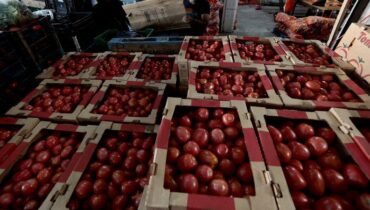 Food prices about to surge: The 20.9% tariff hitting American plates this Monday