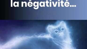 Cat owners reveal what their pets secretly do to protect them that science is just beginning to understand