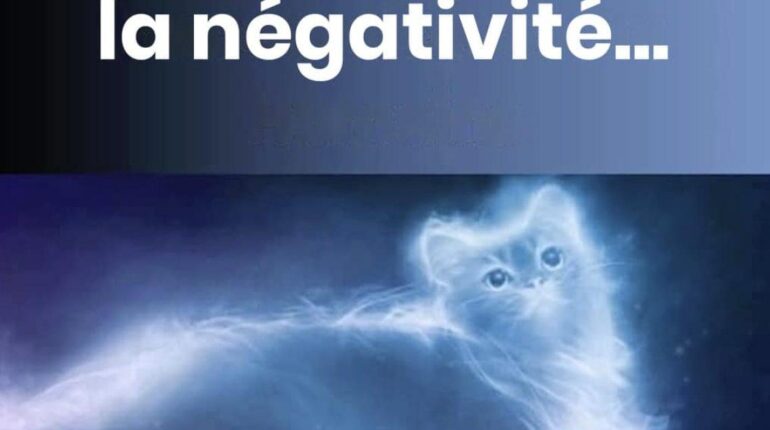 Cat owners reveal what their pets secretly do to protect them that science is just beginning to understand Animal Behavior Cats Human-Animal Bond Pet Benefits Pet Ownership