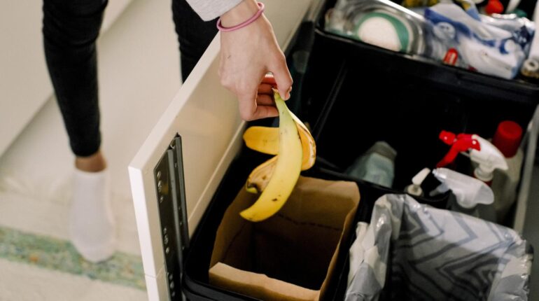 This Simple Trash Can Placement Trick Eliminates Fruit Flies (Most People Get It Wrong) Fruit Flies Home Tips Kitchen Hacks natural pest control Sanitation Trash Can