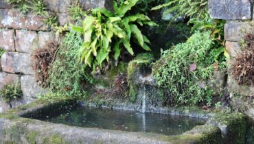 “She Built This Stunning French Fountain for Under $50 Using This Simple Kitchen Ingredient…”