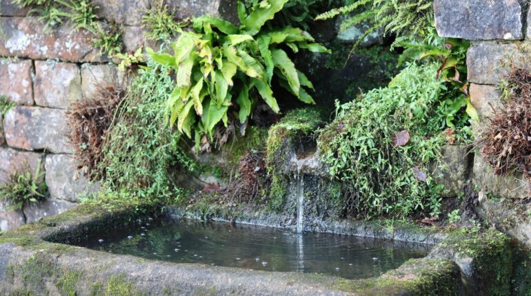 “She Built This Stunning French Fountain for Under $50 Using This Simple Kitchen Ingredient…” Budget-Friendly Crafting DIY Cleaning Fountains Garden Decor Hypertufa Outdoor Projects
