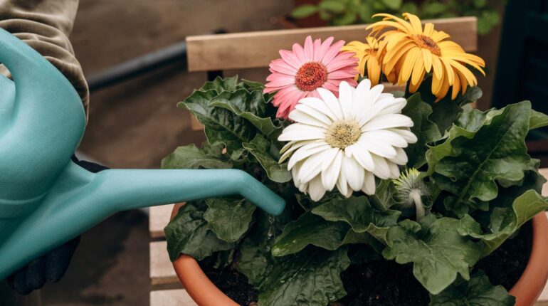 The 10-Cent Garden Tool That Prevents 90% of Plant Deaths (And You Already Have It) DIY Gardening Plant Care Plant Health Soil Moisture Watering