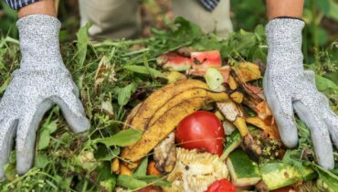 The surprising kitchen waste that transforms your garden (and keeps pests away for months)
