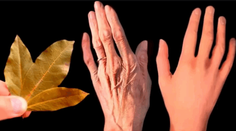 bay leaf anti-aging remedy bay leaf face mask bay leaf oil for skin bay leaf skincare routine bay leaf toner bay leaves for skin collagen boost natural natural wrinkle treatment 