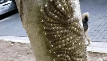 What my daughter nearly touched could have cost her l.ife: Never ignore this sign in nature