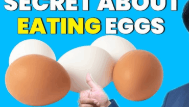 The surprising truth about eating eggs every day