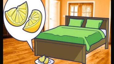 Why You Should Place a Sliced Lemon by Your Bed Every Night Why You Should Place a Sliced Lemon by Your Bed Every Night