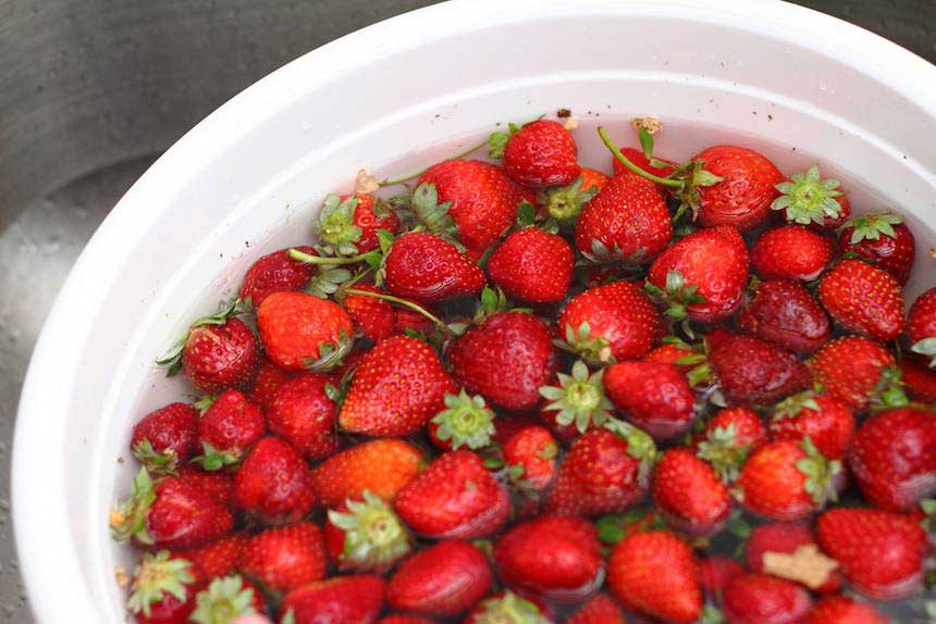 How To Keep Strawberries
