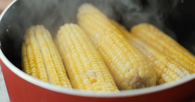 corn-1