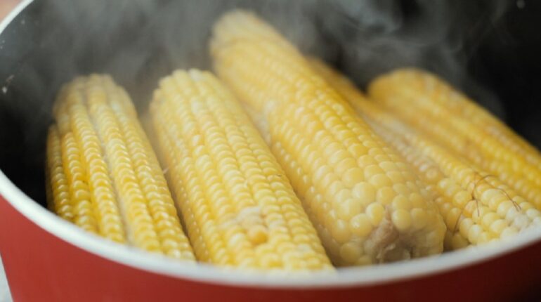 best way to boil corn boiling corn tips boiling time for corn corn on the cob recipe fresh corn cooking time how long to boil corn on the cob how to cook corn on the cob how to prepare fresh corn summer corn recipes toppings for corn on the cob 