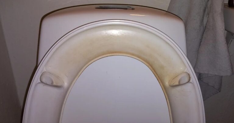 dirty-hair-toilet