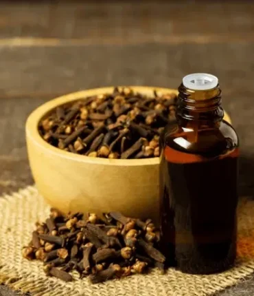 The Natural Power of Cloves: Benefits, Remedies & Wellness Secrets