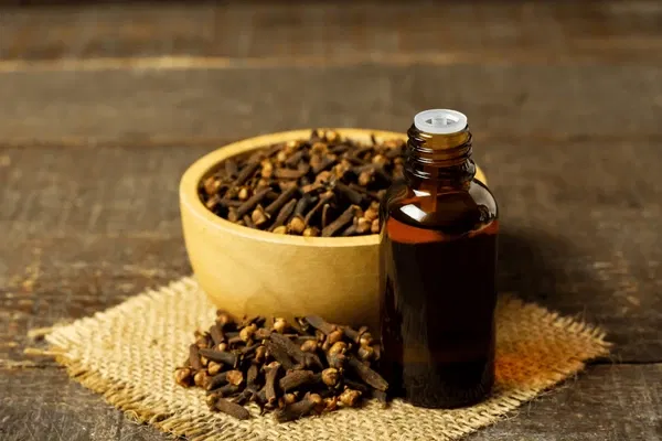 essential-oil-cloves-bottle-dry-600nw-2064144467