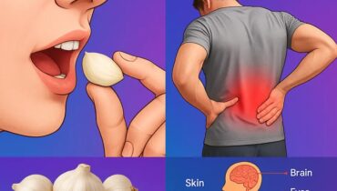 Eat 2 Raw Garlic Cloves Daily and See These 10 Amazing Health Benefits