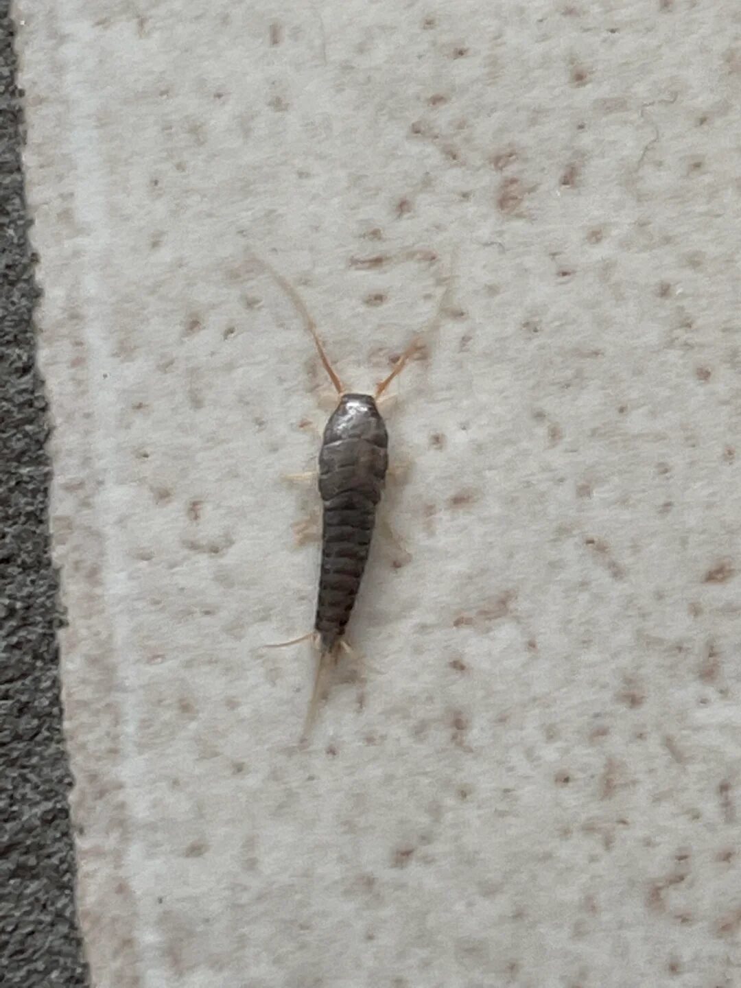 If You Find This