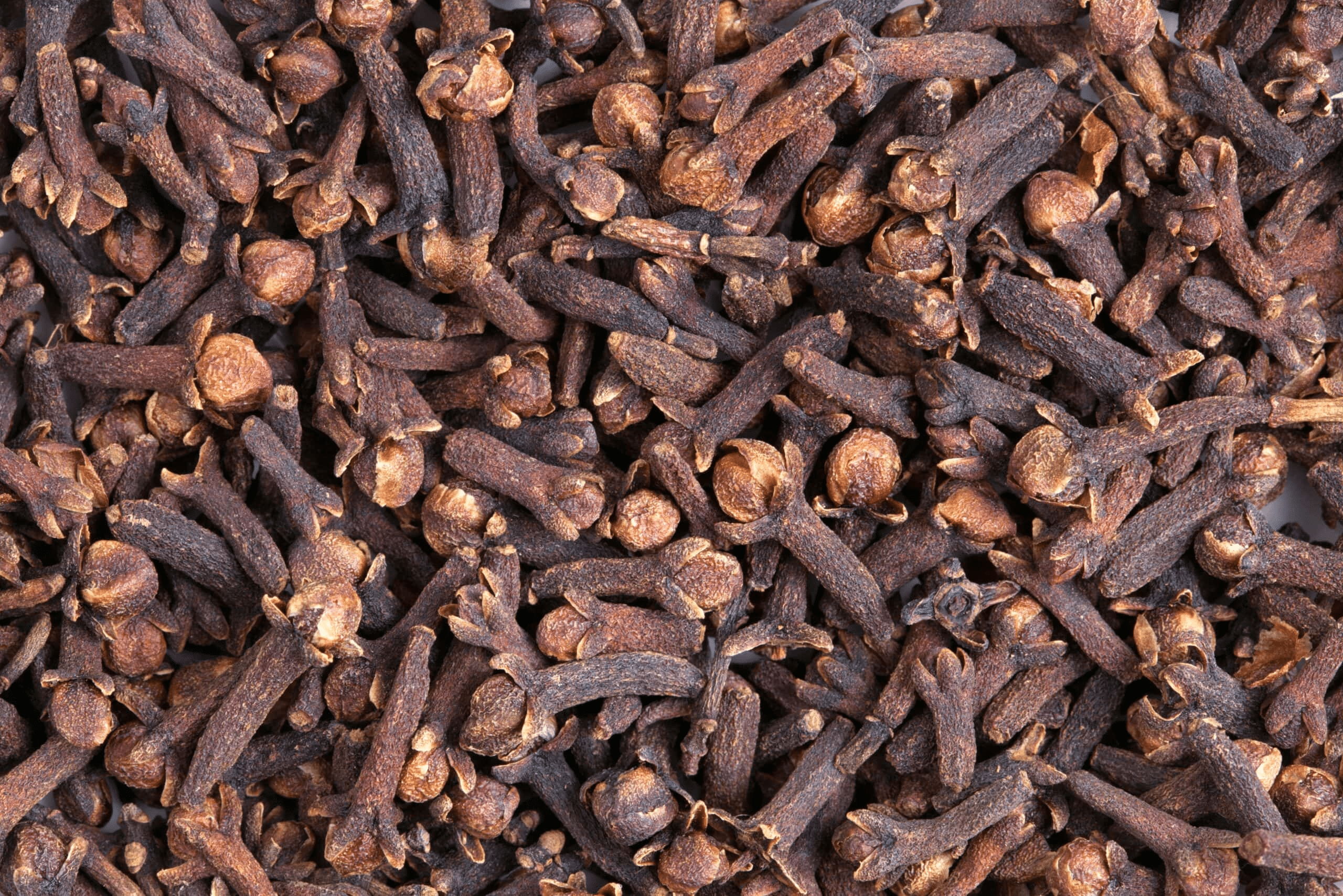 Can Cloves Heal Damaged