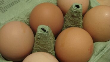 What the Numbers on Your Egg Carton Really Mean (And Why They Matter)