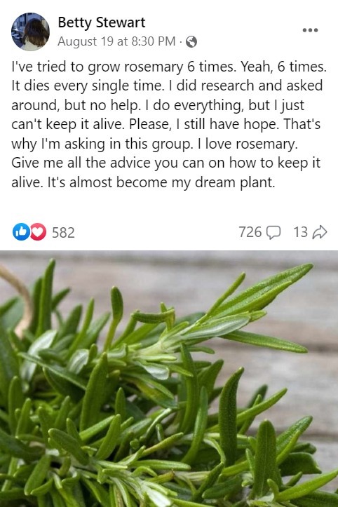 Easy Tips for Growing