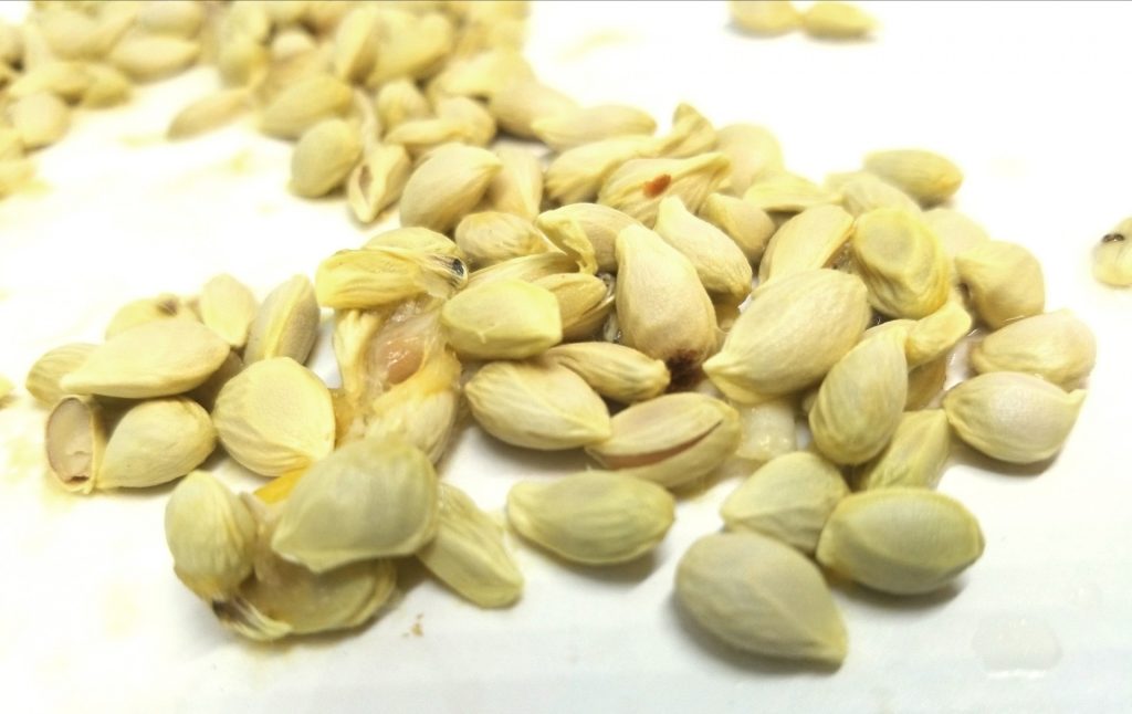 Benefits of lemon seeds