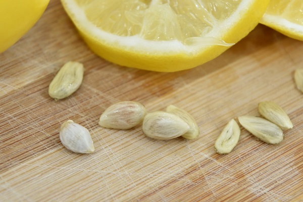 Benefits of lemon seeds