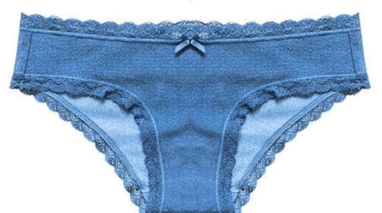 history of underwear bow lingerie details purpose of bow on panties underwear design history underwear tradition why panties have bows women’s underwear bow 