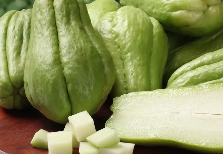 sauteed-chayote-with-garlic-and-herbs