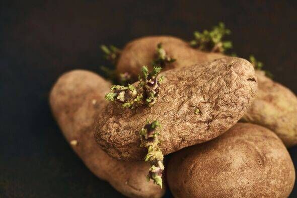 sprouted-potatoes-6353228-17549699351791207874403-1754970099743-17549700998831373584275-1755076199741-17550762001451984193613