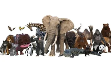 Among 2 Million Animal Species, Only One Can’t Ever Gaze at the Sky