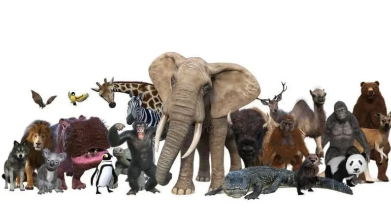 animal anatomy facts animal movement limitations animal trivia fact curious animal facts fun science facts pig neck muscles pigs can’t look up sky-gazing animals surprising pig fact unusual animal abilities 