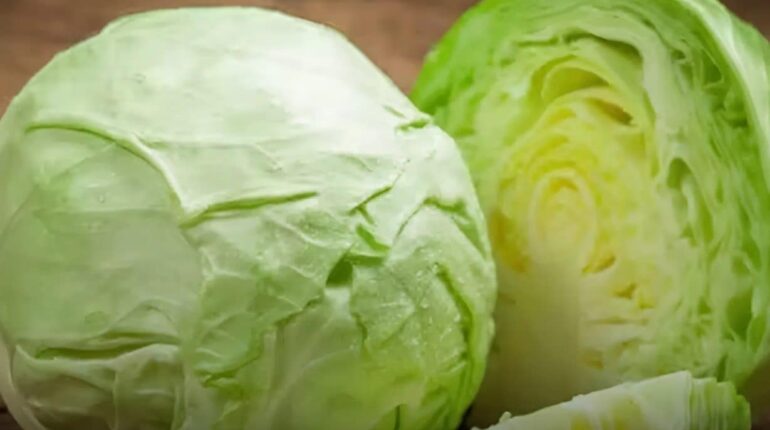 cabbage allergy symptoms cabbage and thyroid cabbage fritters recipe cabbage health risks cabbage kidney stones cabbage side effects healthy cabbage recipes who should avoid cabbage 