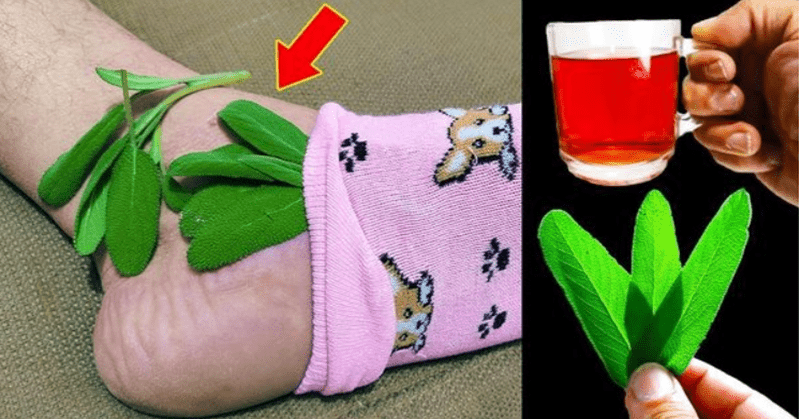 A Natural Miracle for