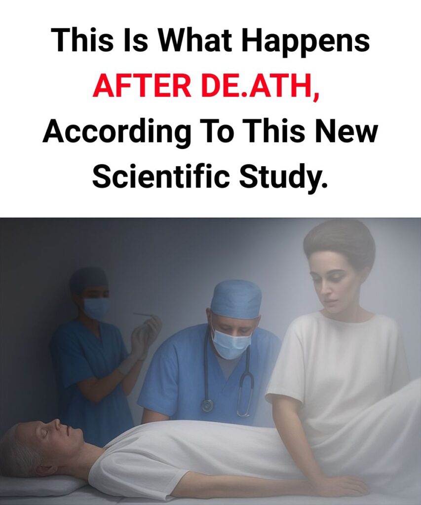 This-is-what-happens-after-d3ath-according-to-this-new-scientific-study This-is-what-happens-after-d3ath-according-to-this-new-scientific-study