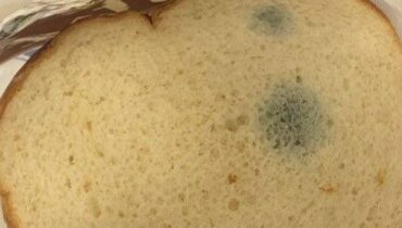 bread eat helth Safe 