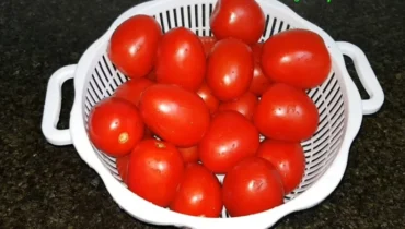 5 Tomato Storage Secrets Farmers Swear By—The Third Will Amaze You… 5 Tomato Storage Secrets Farmers Swear By—The Third Will Amaze You…