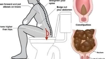 How to Support Colon Health at Night – A Gentle, Natural Approach How to Support Colon Health at Night – A Gentle, Natural Approach