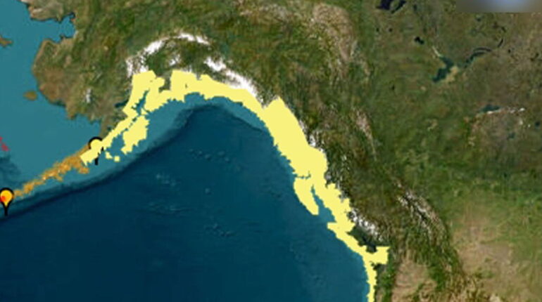 Alaska tsunami advisory Huntington Beach pier closure Japan tsunami advisory Kamchatka earthquake tsunami magnitude 8.8 earthquake Russia Oahu emergency management Pacific Coast tsunami alerts tsunami evacuation Hawaii tsunami warning Hawaii west coast tsunami preparedness 