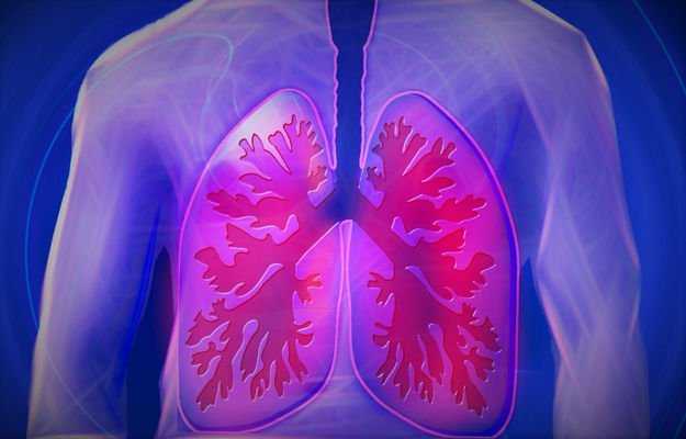 Herbal cough remedy for children