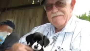 Abandoned Puppy Becomes the Answer to a Grieving Old Man’s Prayers Abandoned Puppy Becomes the Answer to a Grieving Old Man’s Prayers