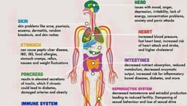effects of stress on health exercise for stress relief foods that reduce stress how stress affects the body mindfulness for stress natural stress relief relaxation techniques stress and anxiety management stress and digestion stress and heart disease stress and hormones stress and immune system stress and sleep problems stress management tips ways to reduce stress 
