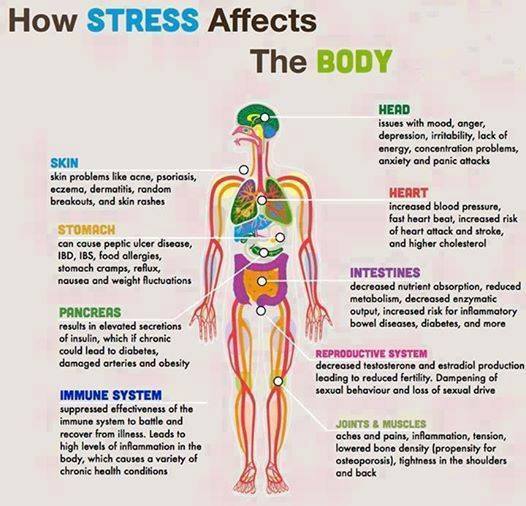 stess-body-health-photo