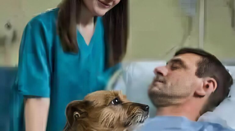 betrayal revealed mission dog wakes soldier from coma emotional dog hero tale K9 saves handler loyal German Shepherd hero military partnership bond miraculous recovery officer Rami and Lari story soldier’s survival story unbroken trust 