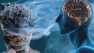 The ancient ritual that clears negative energy in minutes: “I never believed until…” The ancient ritual that clears negative energy in minutes: “I never believed until…”