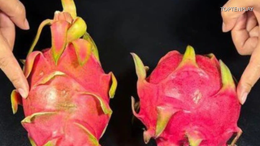 Image d'illustration © TopTenPlay EN