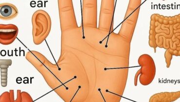 This Reflexology Map in Your Palm Could Replace Your Next Doctor’s Visit