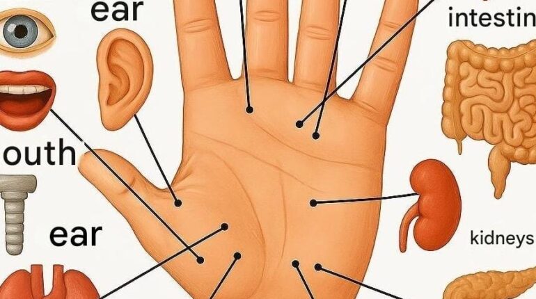 cardiac wellness exercise for stress relief Natural Healing Palm Reflexology reflexology detox self-care 