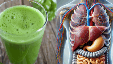 The Hidden Power of Horseradish Leaves: What Happens When You Stop Throwing Them Away The Hidden Power of Horseradish Leaves: What Happens When You Stop Throwing Them Away