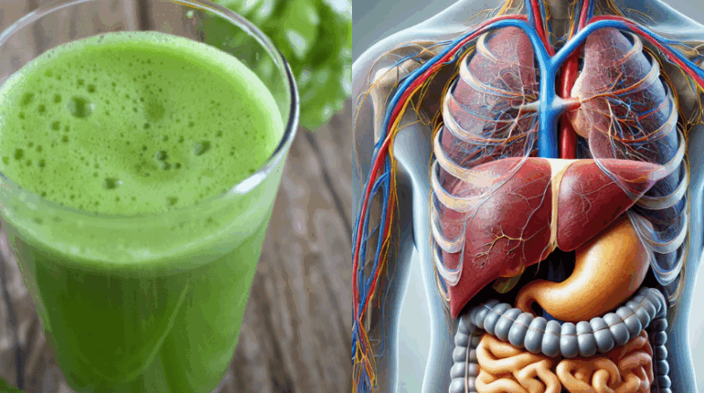 antioxidants beetroot nutrition Culinary Uses Datura medicinal uses DIY Gardening Horseradish Leaves natural remedies 